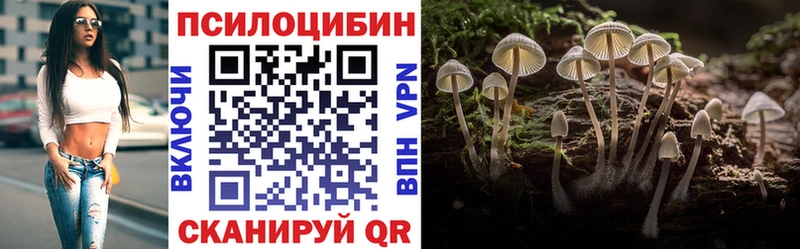 Псилоцибиновые грибы Cubensis  Власиха 